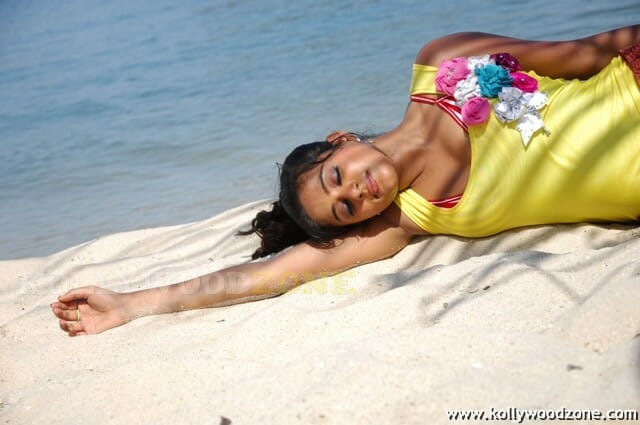 Priyamani Hot And Sexy Stills