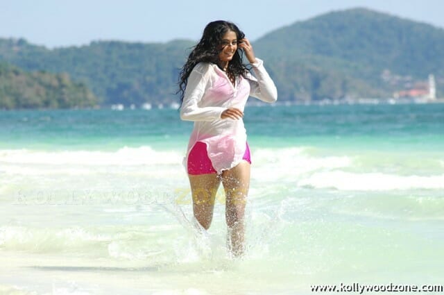 Priyamani Hot And Sexy Stills