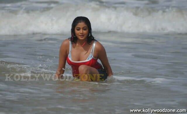 Priyamani Hot Cleavage Pictures