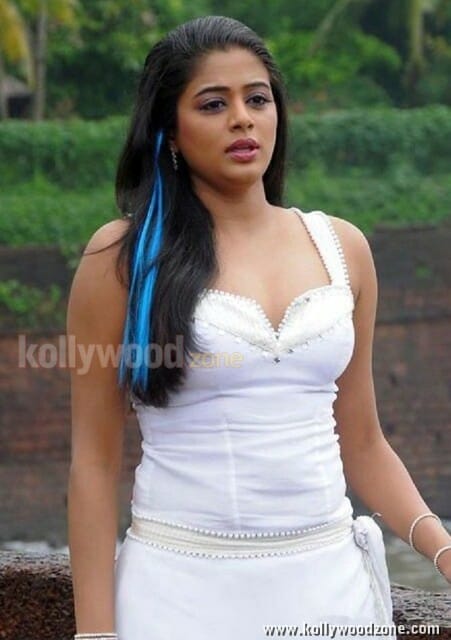 Priyamani Hot New Pictures