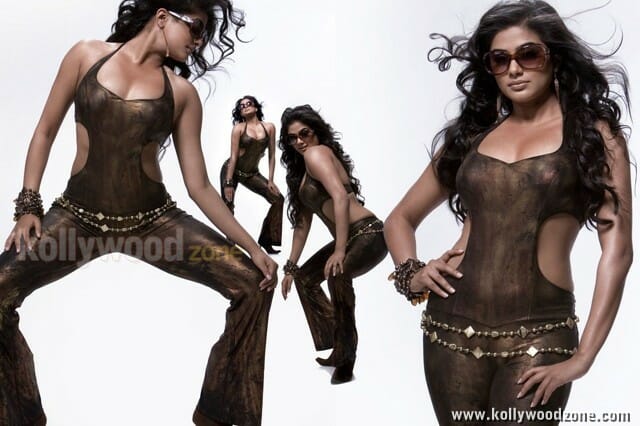 Priyamani Hot Photoshoot Pictures