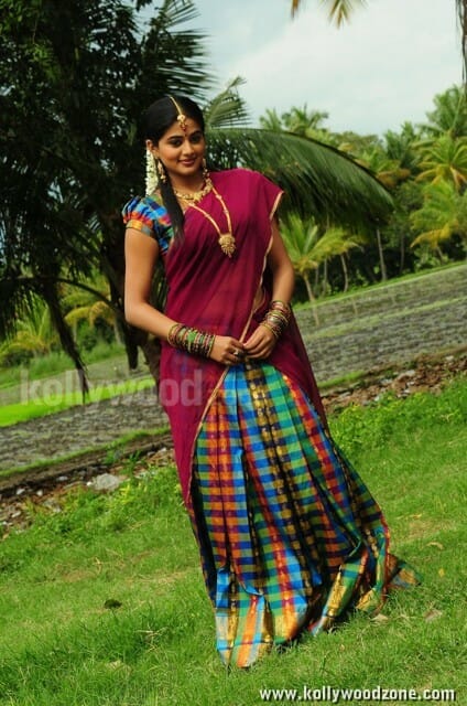 Priyamani In Saree Photos