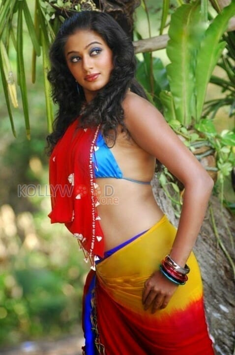 Priyamani Sexy Hot Bikini Pictures