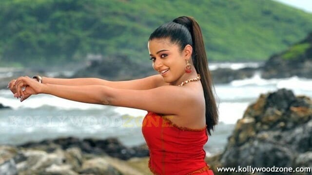 Priyamani Sexy Hot Pictures