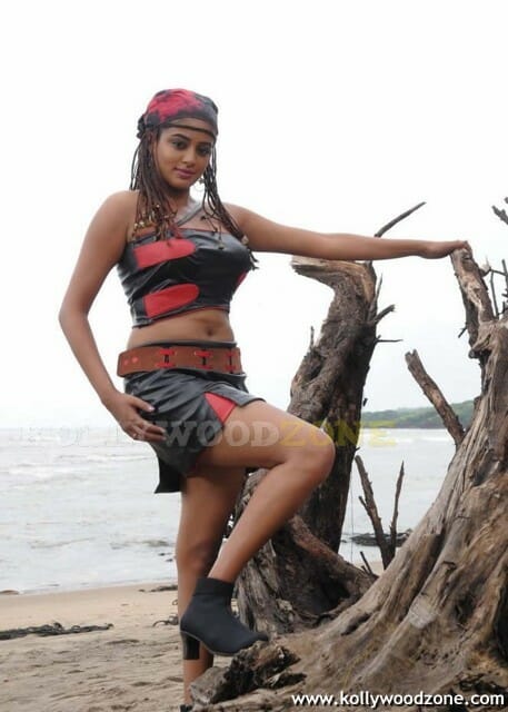 Priyamani Sexy Hot Pictures