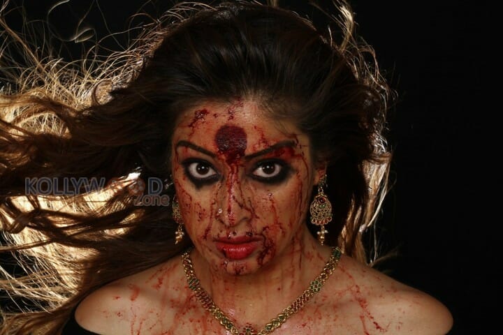 Raai Laxmi In Sowkarpettai Movie Pictures