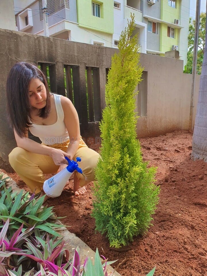 Raashi Khanna Doing The Green India Challenge Photos