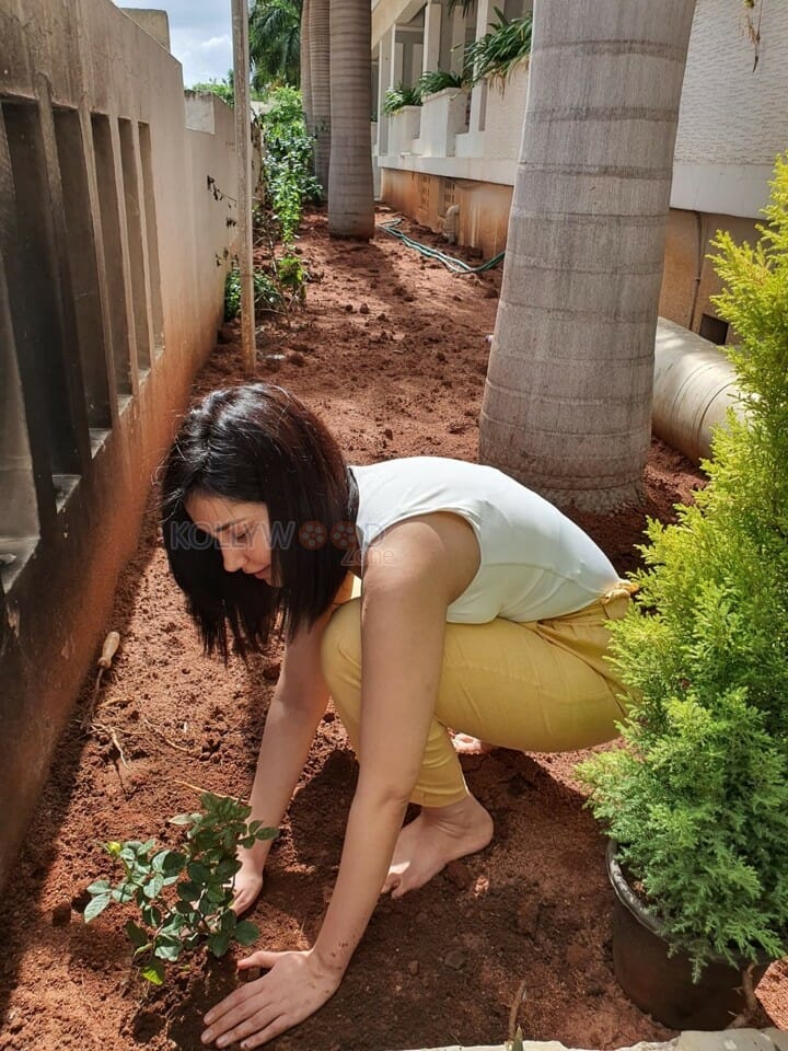 Raashi Khanna Doing The Green India Challenge Photos