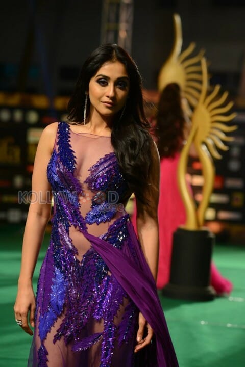 Regina Cassandra Hot See Through Photos