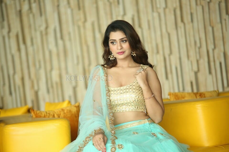 Rx Heroine Payal Rajput Sexy Photos