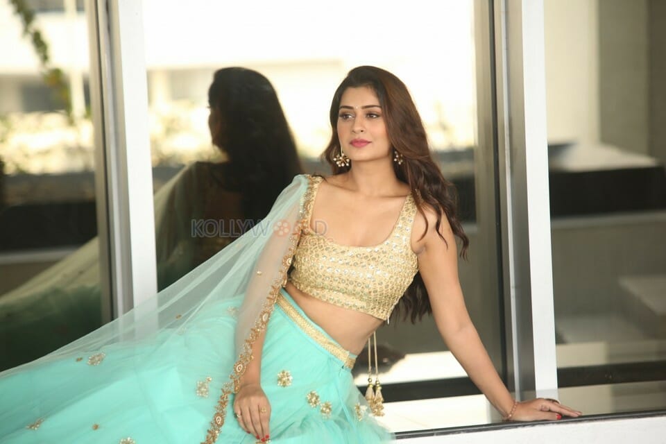 Rx Heroine Payal Rajput Sexy Photos