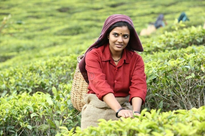 Sakhavu Movie Heroine Aishwarya Rajesh Photos