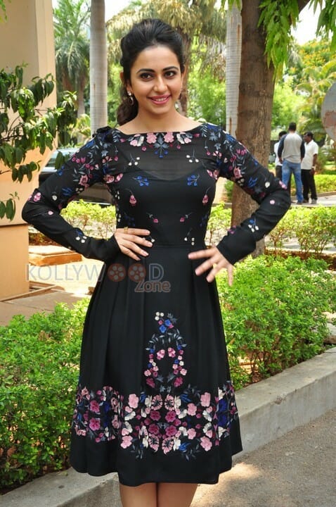 Sarrainodu Movie Heroine Rakul Preet Singh Photos