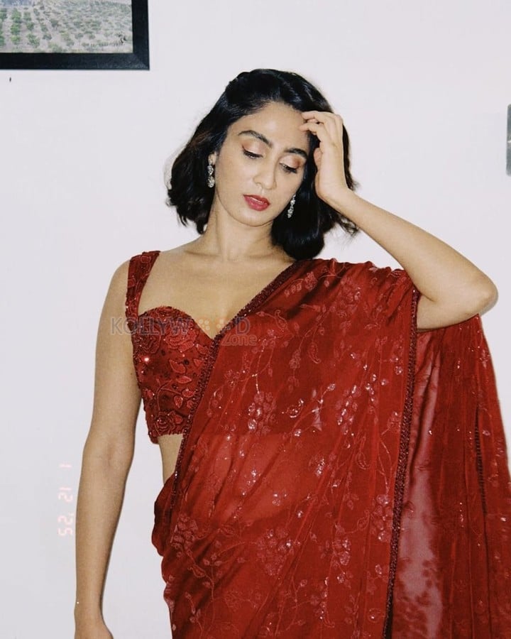 Sexy Deepti Sati in a Maroon Sequin Saree with Sleeveless Blouse Photos 04