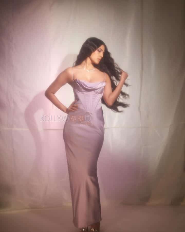 Sexy Malavika Mohanan in a Purple Corset Dress Photos 01