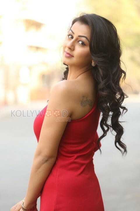 Sexy Nikki Galrani Photoshoot Stills