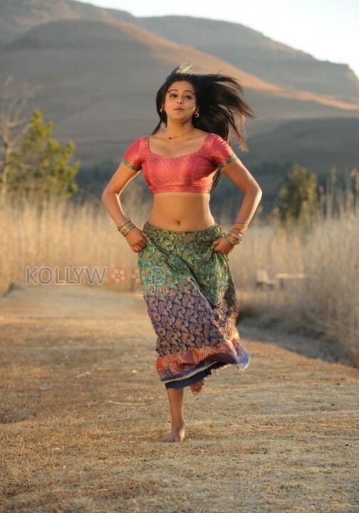 Sexy Priyamani Stills