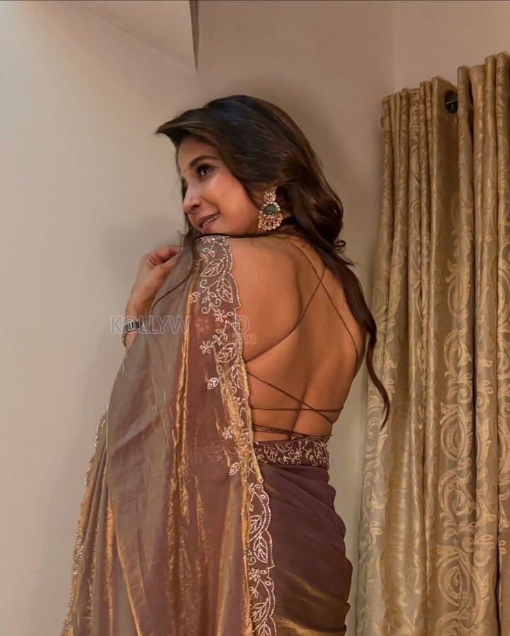 Sexy Sakshi Agarwal in a Brown Backless Saree Photos 01