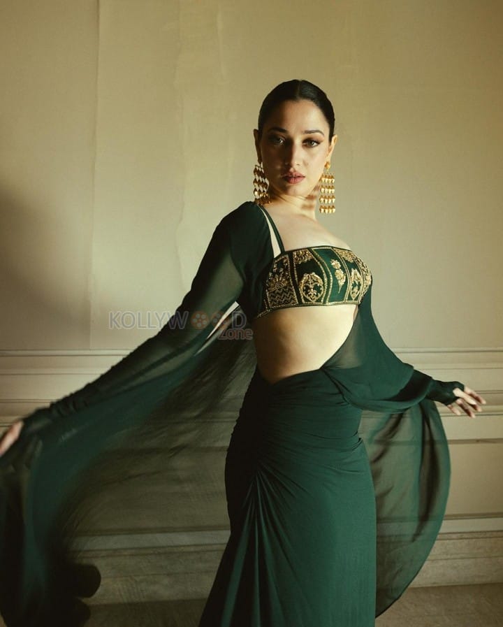 Sexy Tamannaah Bhatia in a Green and Gold Bustier Blouse and Saree Photos 03