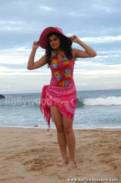 Sexy Tapsee Pictures