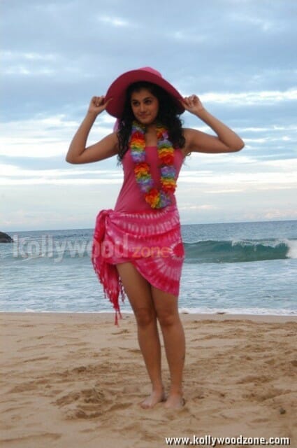 Sexy Tapsee Pictures