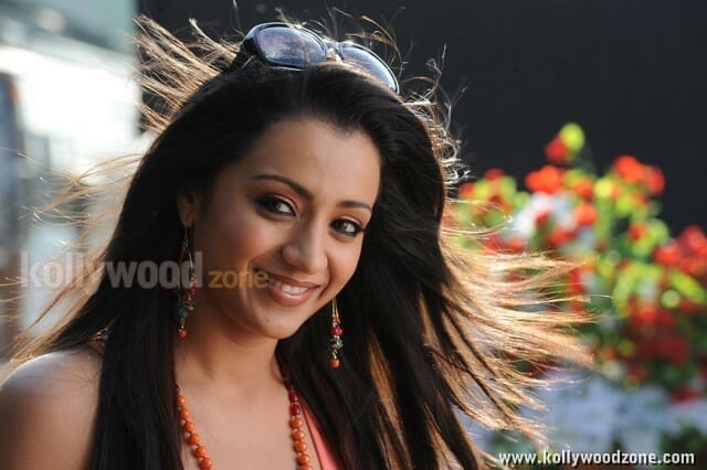 Sexy Trisha From Dammu Movie Photos