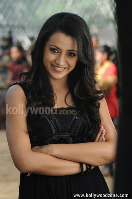 Sexy Trisha From Dammu Movie Photos