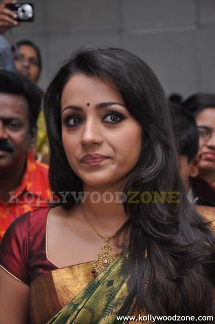 Sexy Trisha In Saree Pics