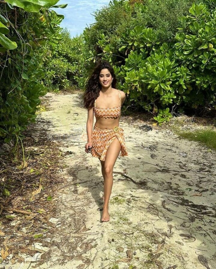 Shapely Beauty Janhvi Kapoor Photos 02