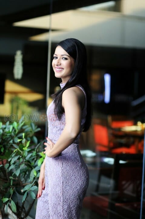 South Indian Actress Catherine Tresa Photoshoot Pictures