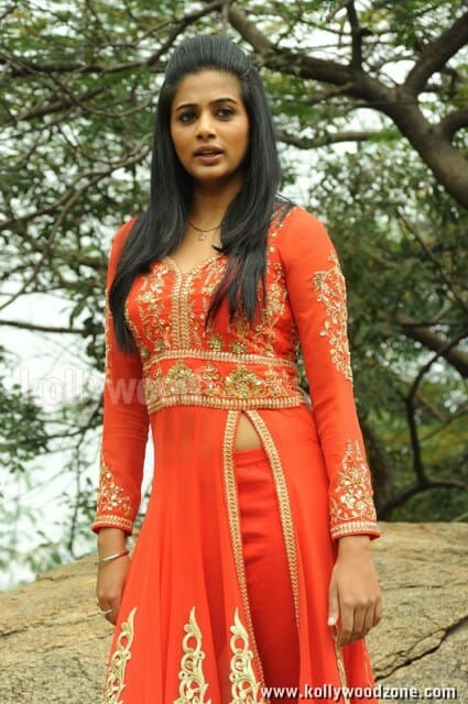 South Indian Actress Priyamani Pictures