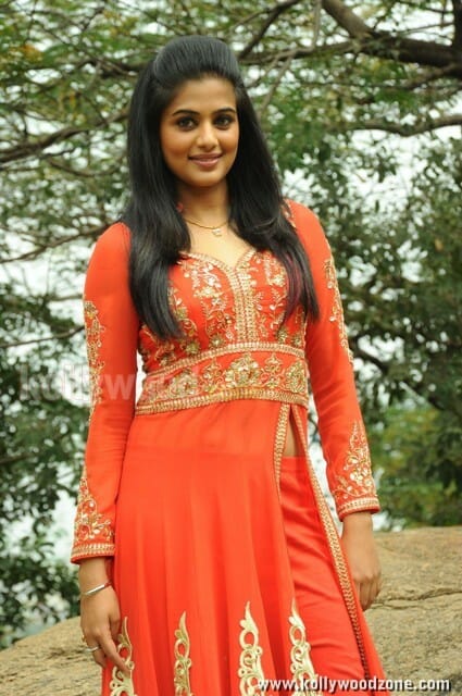 South Indian Actress Priyamani Pictures