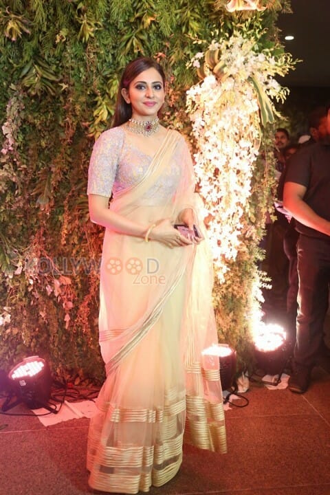 South Indian Actress Rakul Preet Singh Saree Photos