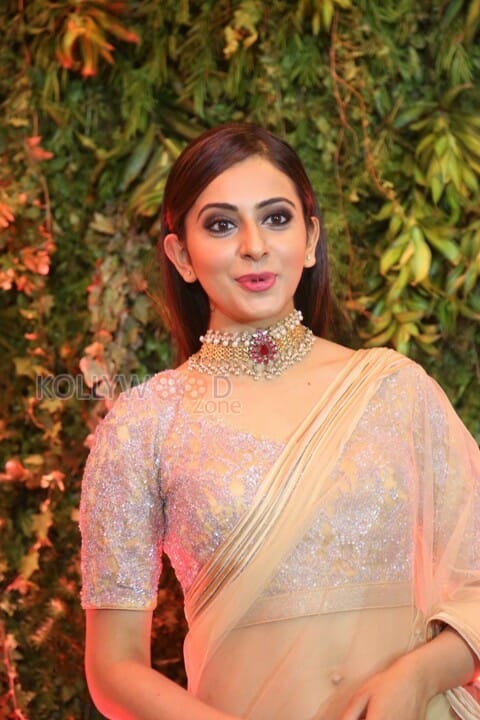 South Indian Actress Rakul Preet Singh Saree Photos