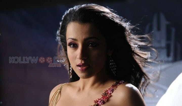 South Indian Actress Trisha Sexy Pictures