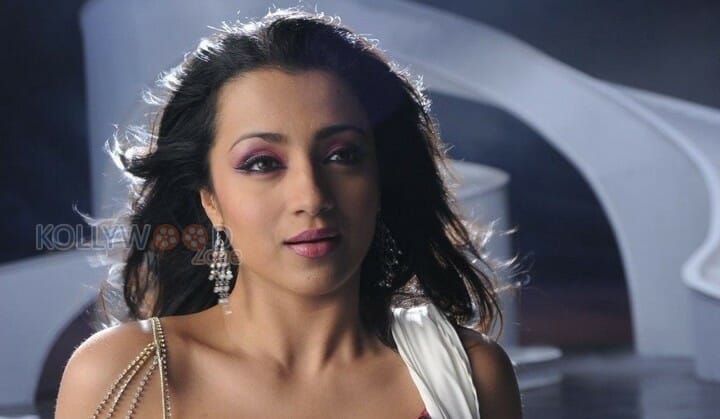 South Indian Actress Trisha Sexy Pictures