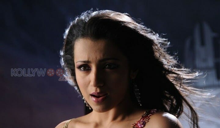 South Indian Actress Trisha Sexy Pictures