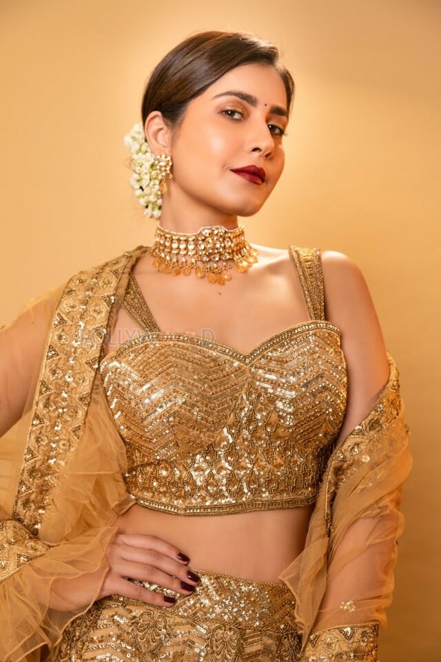 Stunning And Beautiful Raashi Khanna Photos