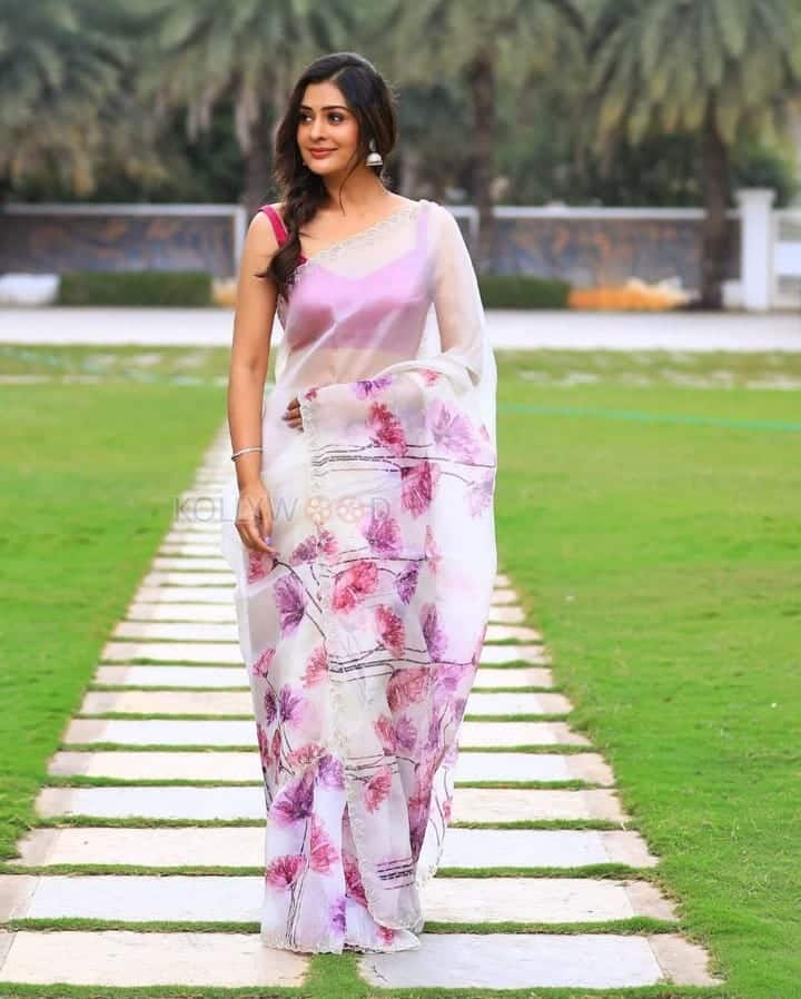 Stunning Payal Rajput in a Transparent White Floral Saree Photos 03