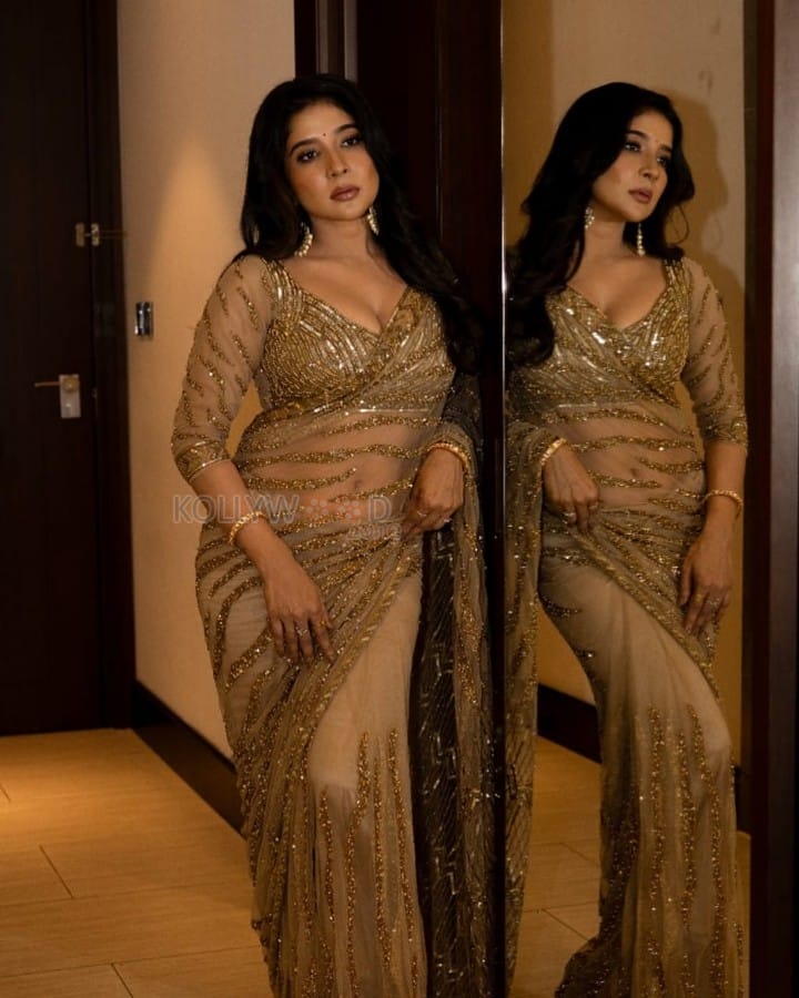 Stunning Sakshi Agarwal in Golden Saree Picture 01