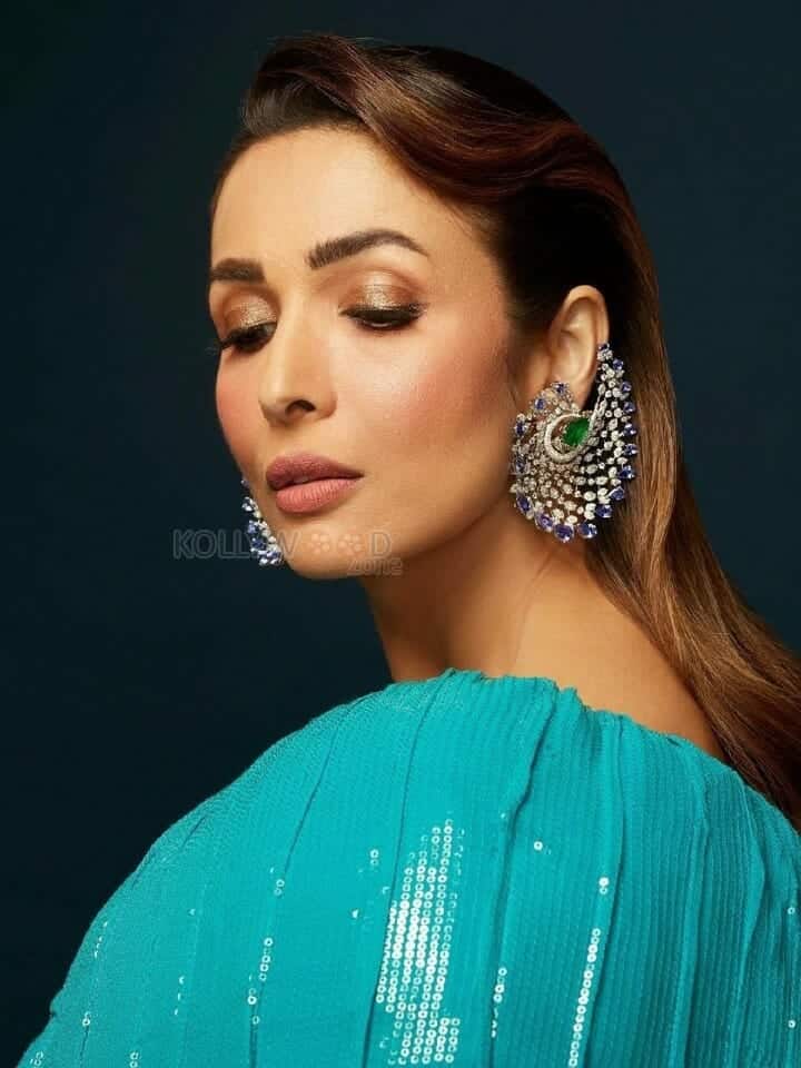 Stylish Fashion Idol Malaika Arora Photo 01