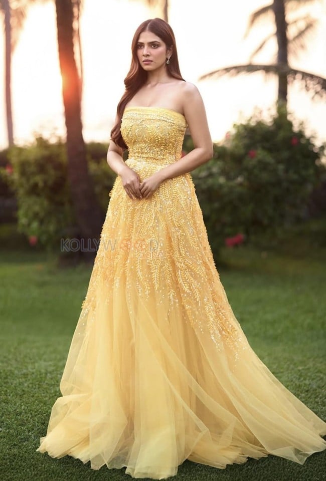 Stylish Malavika Mohanan in a Yellow Long Gown Pictures 02