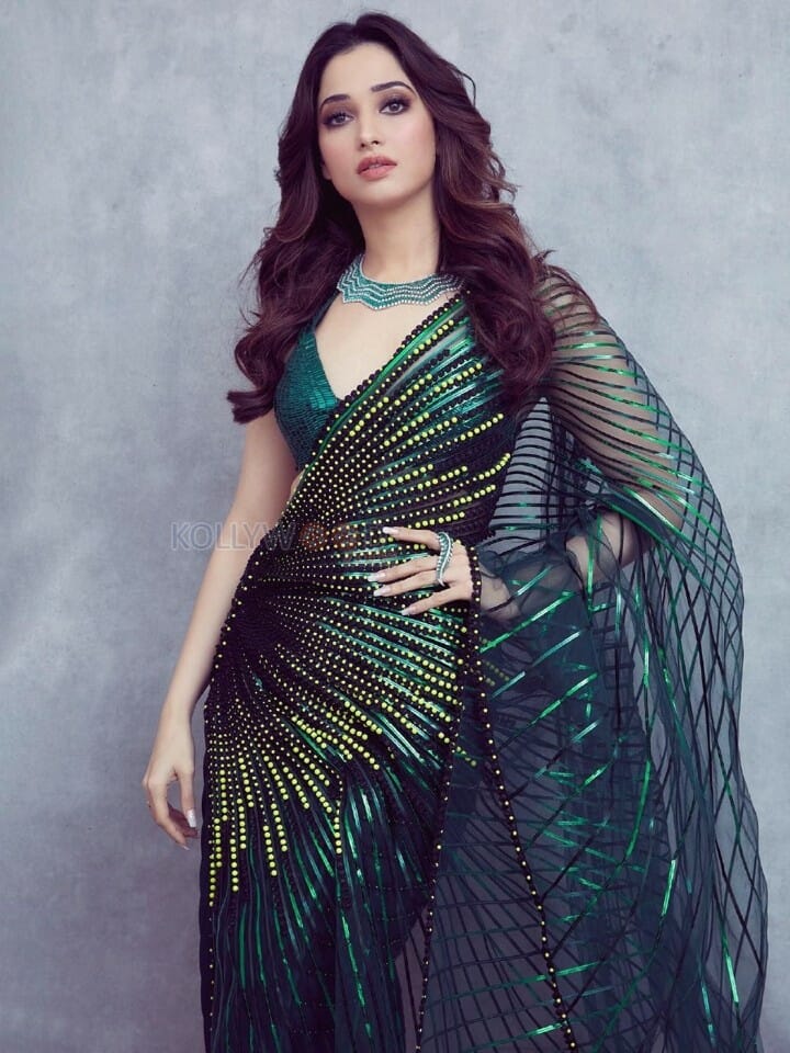 Stylish Tamannaah Bhatia in a Designer Saree Photo 01