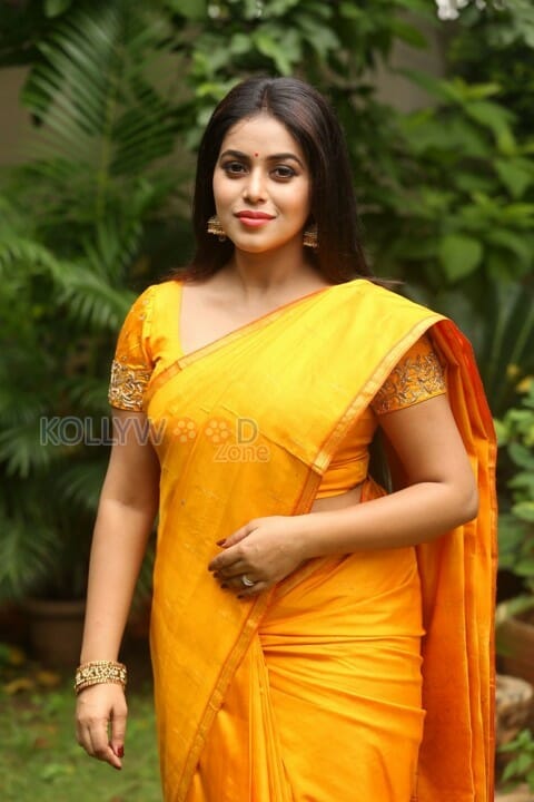 Tamil Actress Poorna Saree Photos