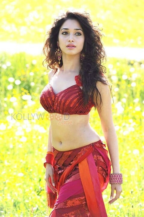 Tamil Actress Tamannah Sexy Stills