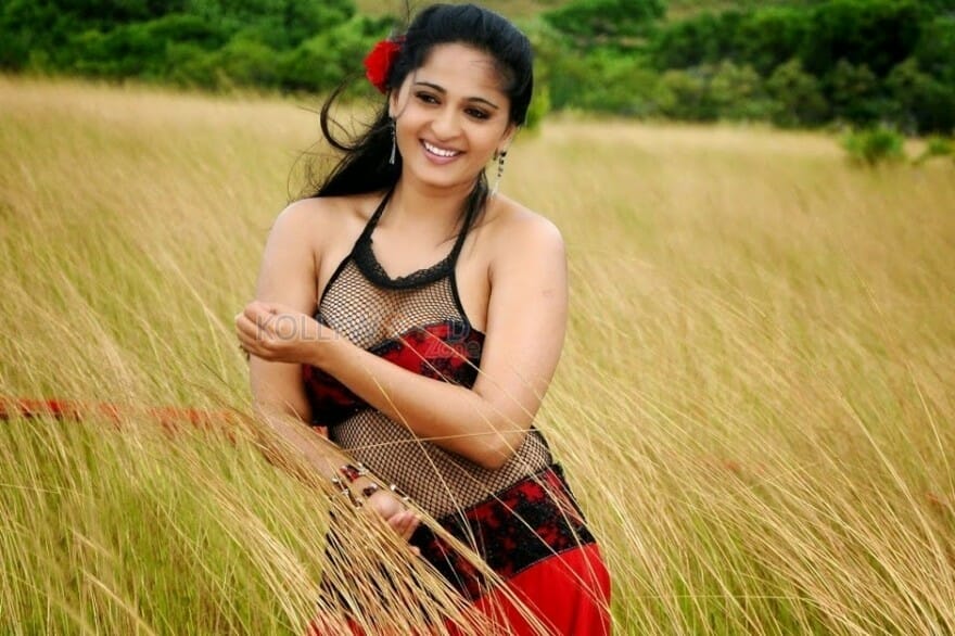 Tamil Telugu Actress Anushka Shetty Spicy Pictures