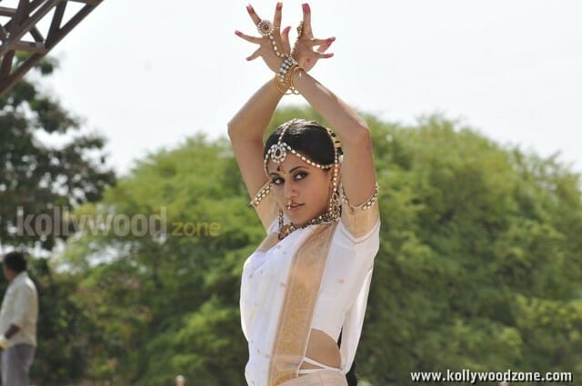 Tapsee In Traditional Saree Photos