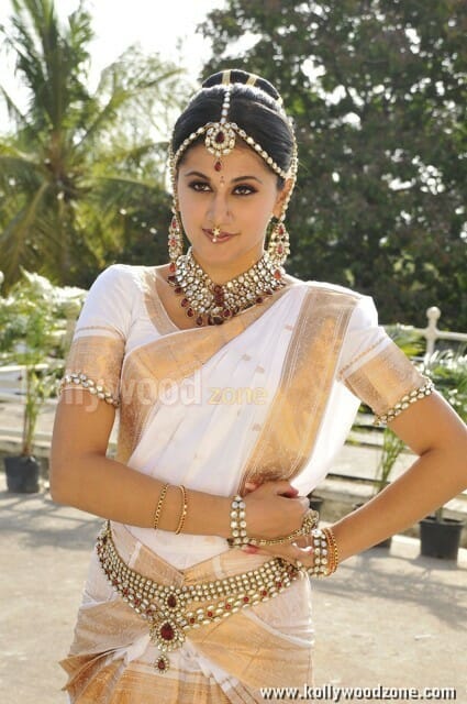 Tapsee In Traditional Saree Photos