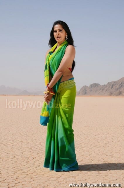 Telugu Actress Anushka Shetty Hot Pictures