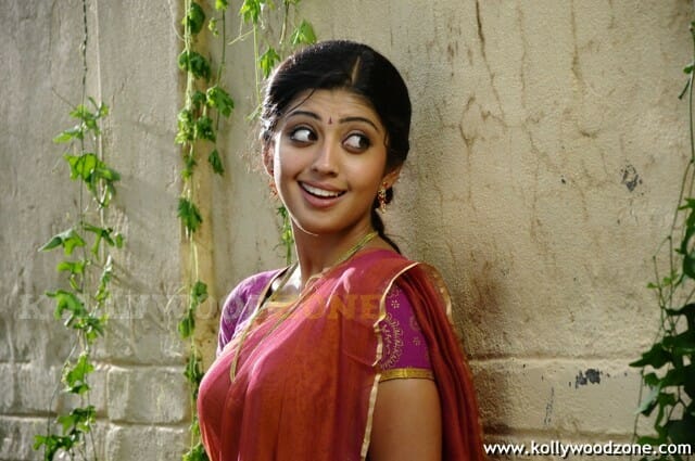 Telugu Actress Pranitha Sexy Stills